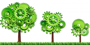 Cosa norma Iso 14001 Gestione Ambientale