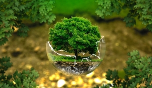 politica-qualita-ambiente-energia