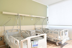 Maria Cecilia Hospital Cotignola GVM